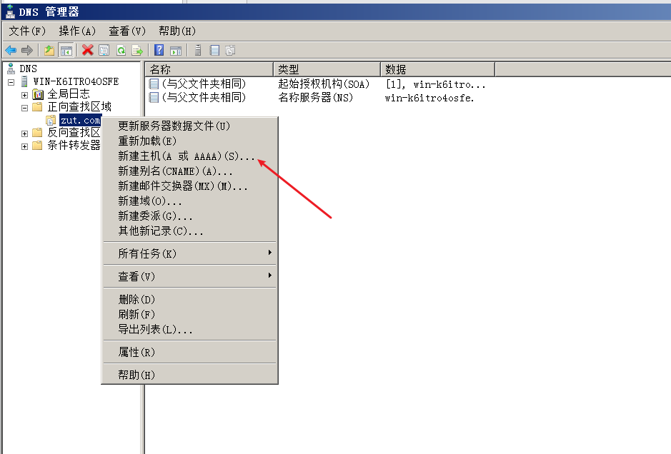 windowsserver2008安装配置DNS服务器 [db:标签] 碎碎语  第10张