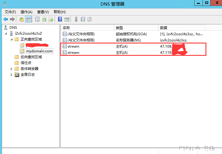 WindowsServer2012搭建DNS服务器的方法 [db:标签] 碎碎语  第14张