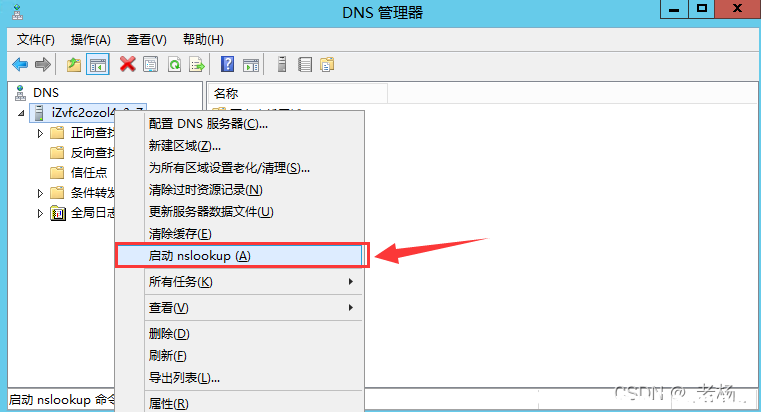 WindowsServer2012搭建DNS服务器的方法 [db:标签] 碎碎语  第15张